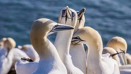 温州2026年最新杭州高端商务伴游招聘网渠道分享(最方便真实的温州茉莉伴游伴游天下全国联盟方法)